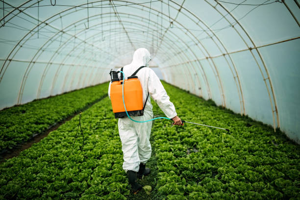 Best Affordable Exterminators  in Salem, SD