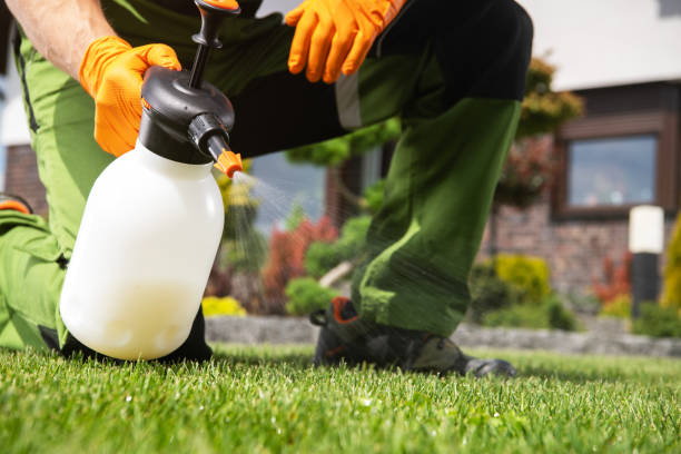 Reliable Salem, SD Pest Control Solutions