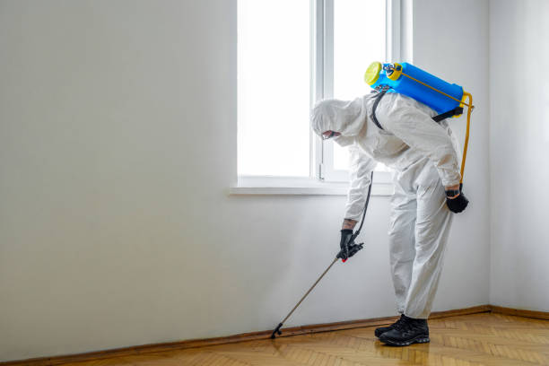 Best Cockroach Control Services  in Salem, SD