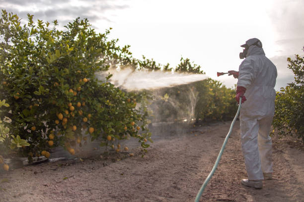 Best Pest Inspection Near Me  in Salem, SD