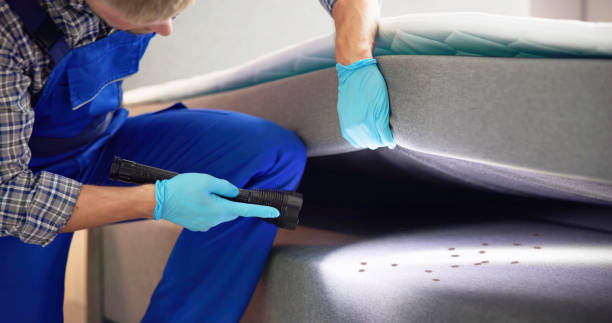 Best Mosquito Control Services  in Salem, SD