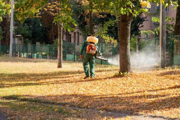 Best Wildlife Control Services  in Salem, SD