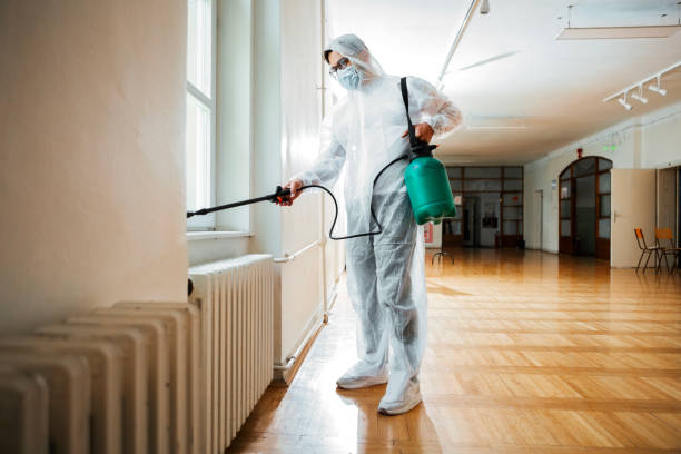 Best Best Pest Control Companies  in Salem, SD