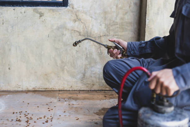 Best Wasp Removal Services  in Salem, SD